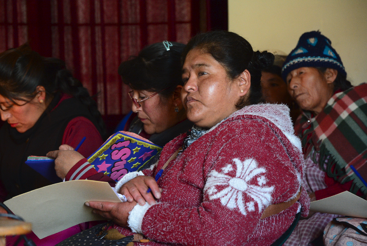 Huanuni Gobierno Electrónico 3