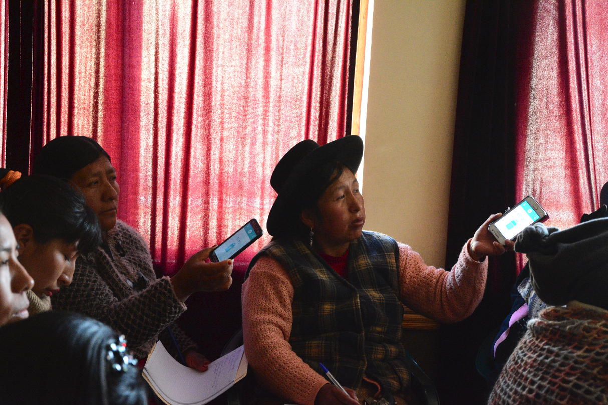 Huanuni Gobierno Electrónico 6
